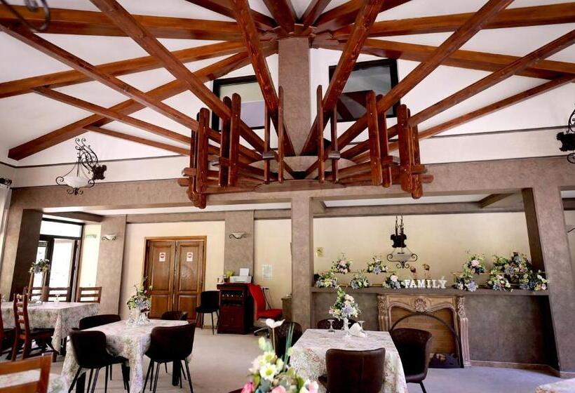 Pensiunea Casa Doamnei Voronet