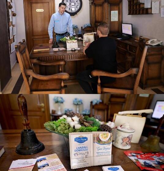 Pensiunea Casa Doamnei Voronet