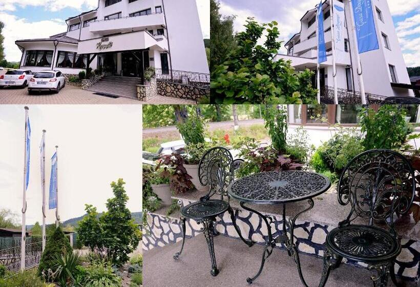 Pensiunea Casa Doamnei Voronet