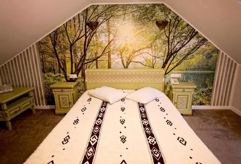 Pensiunea Casa Doamnei Voronet