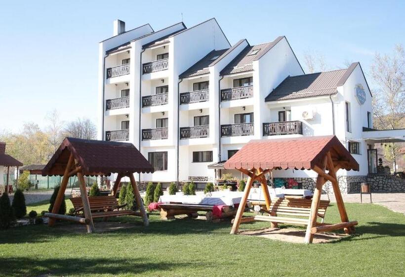 Pensiunea Casa Doamnei Voronet