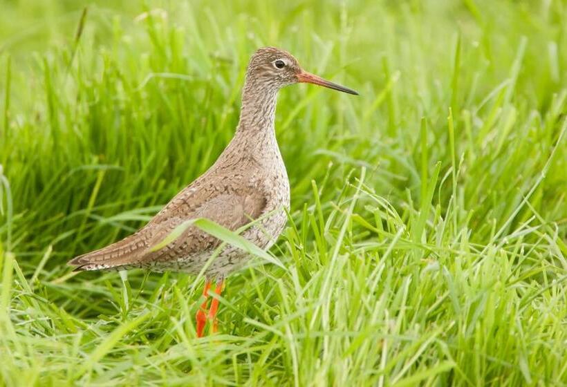 Bed And Breakfast Simmerwille