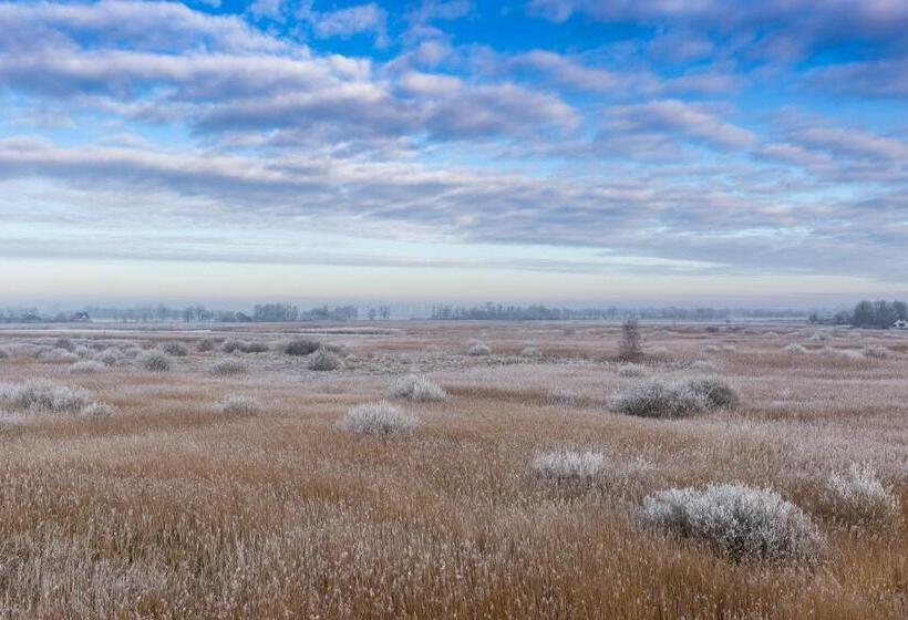 Bed And Breakfast Simmerwille