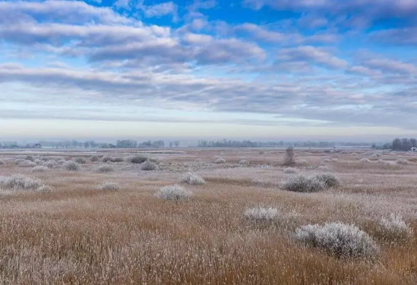 Bed And Breakfast Simmerwille