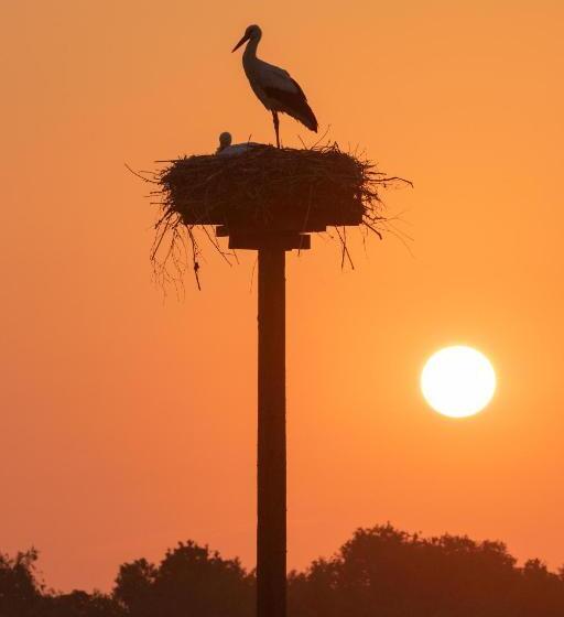 Bed And Breakfast Simmerwille