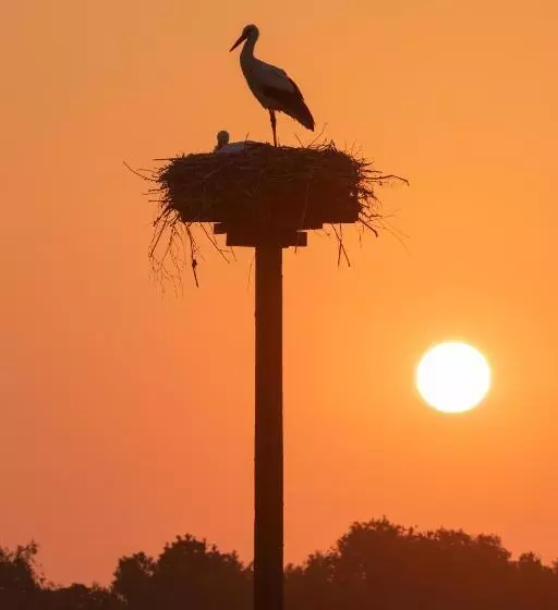 Bed And Breakfast Simmerwille