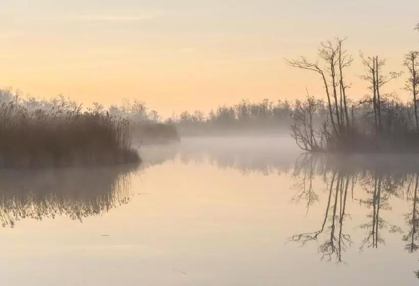 Bed And Breakfast Simmerwille