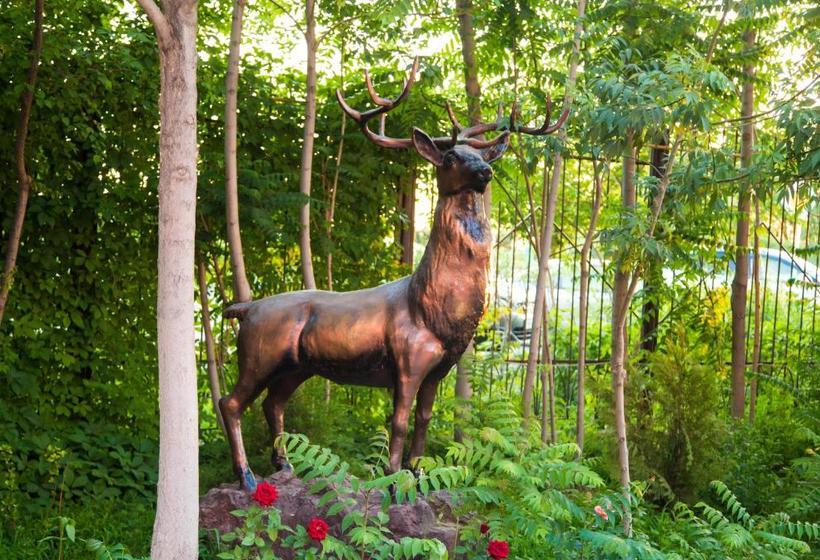 هتل Complex Bella Vista