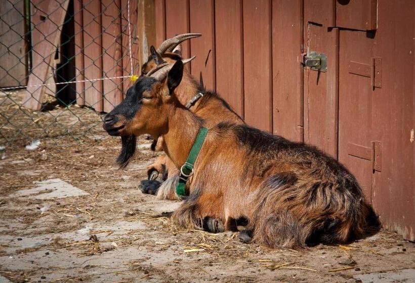 Отель Lamprechthof