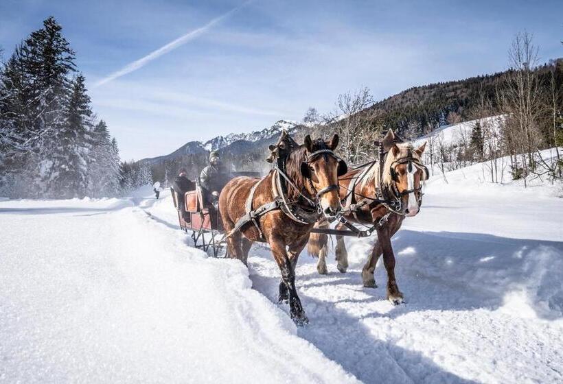 Отель Lamprechthof