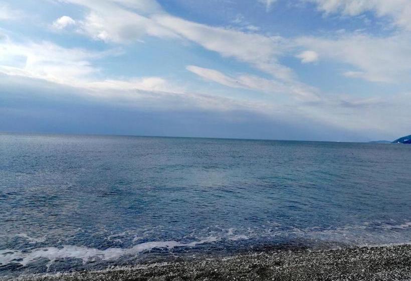 پانسیون аренда