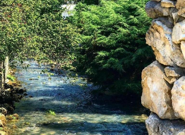 پانسیون аренда