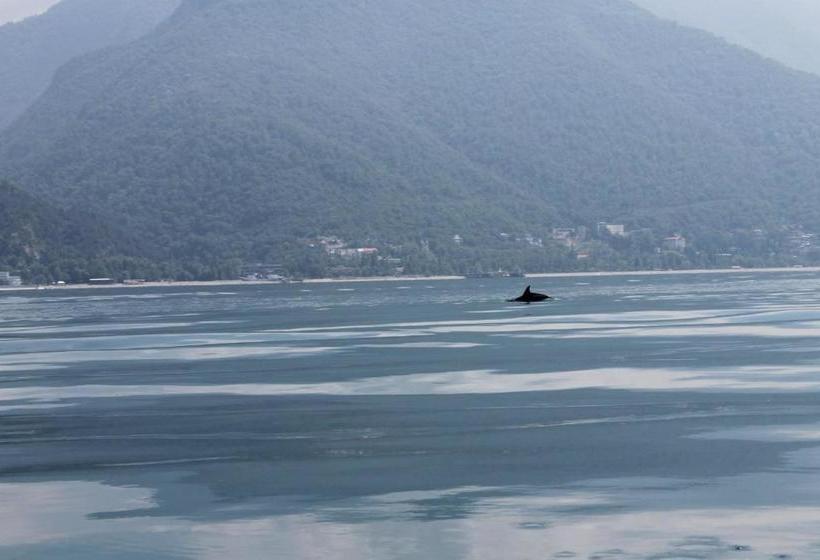 پانسیون аренда