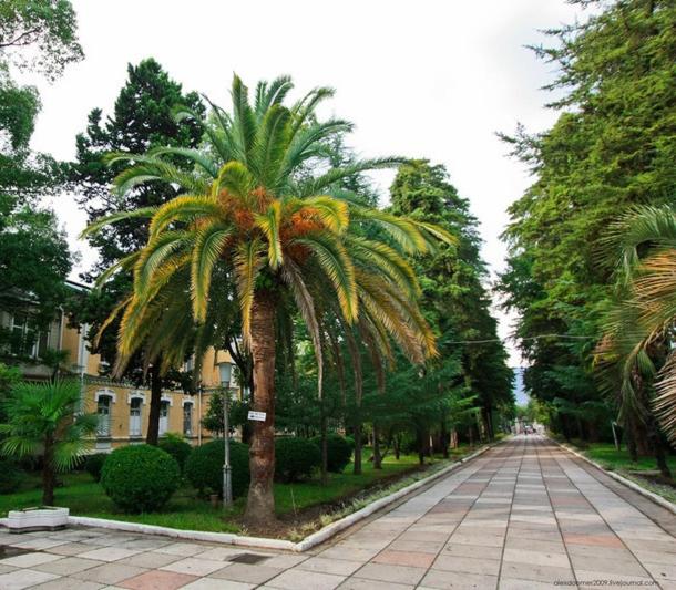 پانسیون Guest House On Shakirbay 11