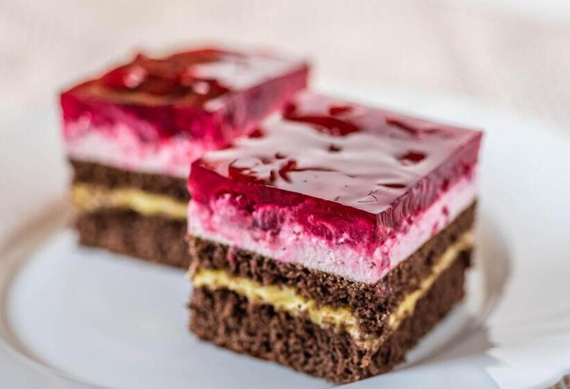 膳宿费 Penzion Eso