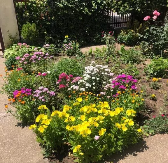 Majatalo Vila Adriana