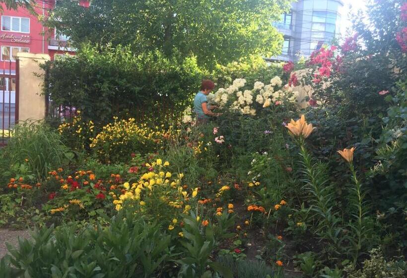 پانسیون Vila Adriana