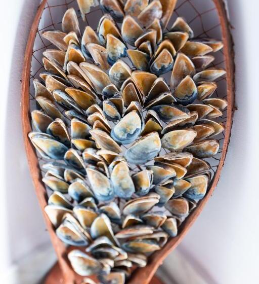 پانسیون Vila Adriana