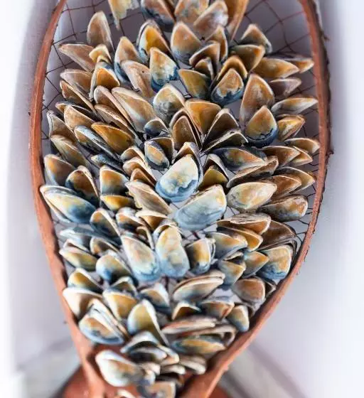 Majatalo Vila Adriana