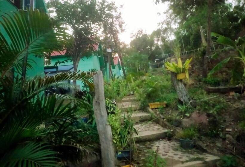 膳宿费 Plankton Bungalow And Camping