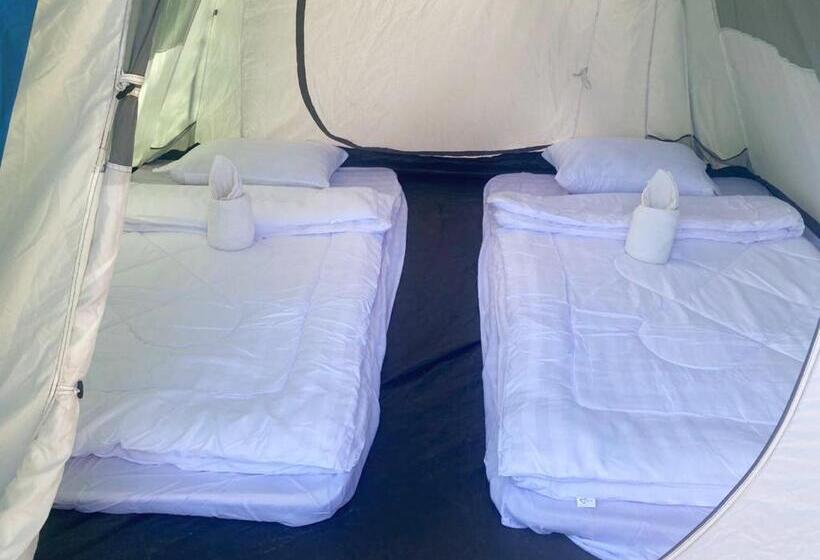 膳宿费 Plankton Bungalow And Camping