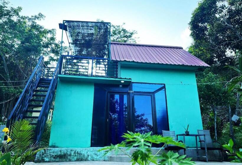 膳宿费 Plankton Bungalow And Camping