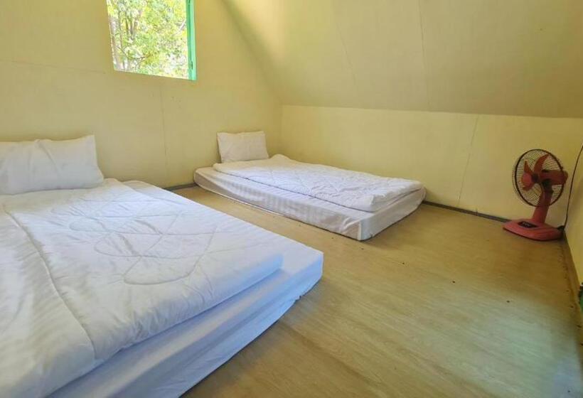 膳宿费 Plankton Bungalow And Camping