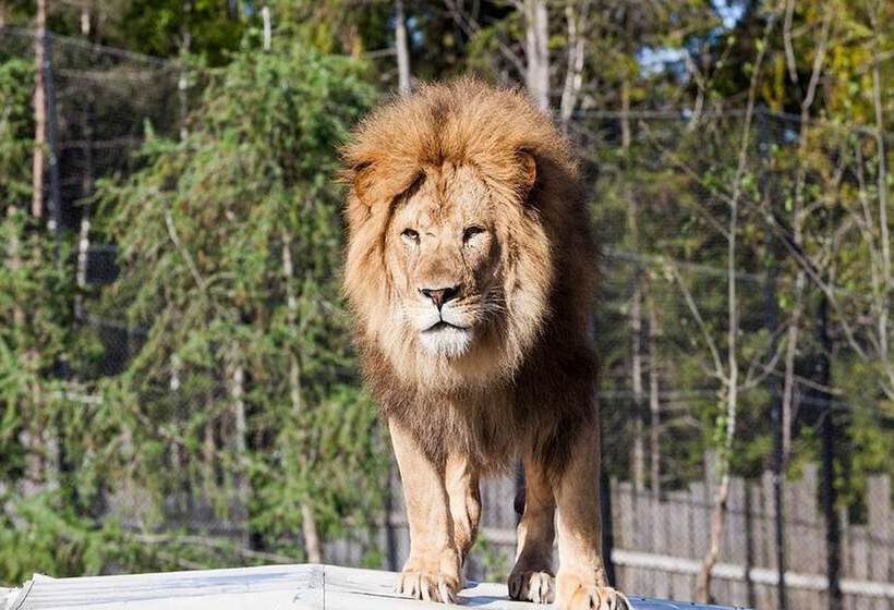 Dyreparken Safarihotell