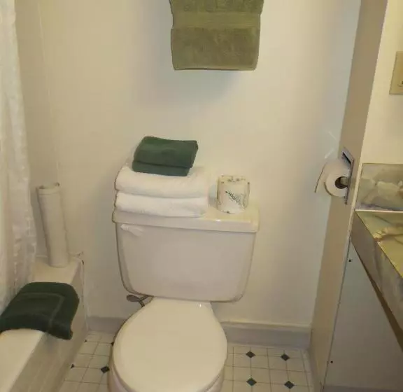 Hotelli Black Cat Guest Ranch