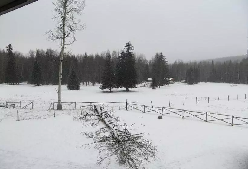 Hotelli Black Cat Guest Ranch