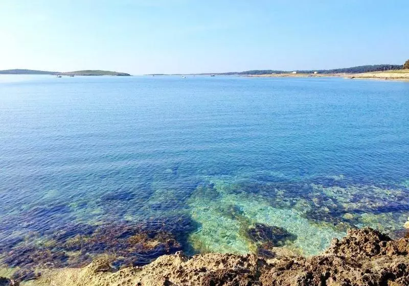 ホテル Villa Salu