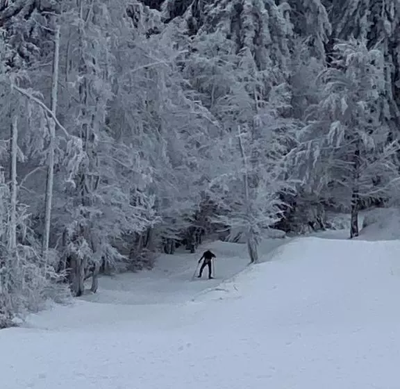 ホテル Auberge De Thelis