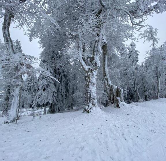 فندق Auberge De Thelis
