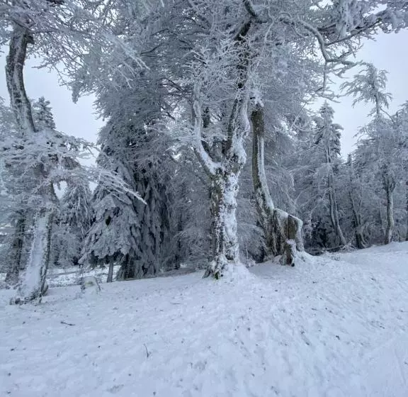 ホテル Auberge De Thelis