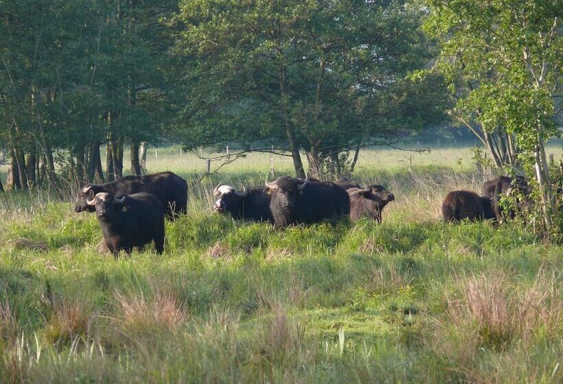 酒店 Landgasthof Vogt