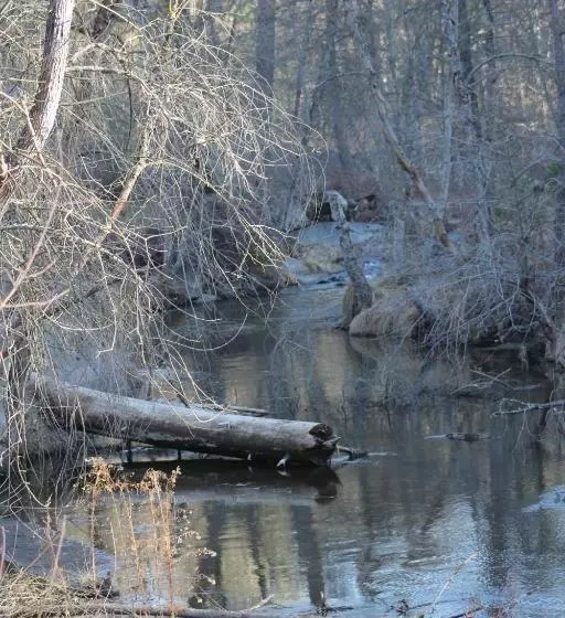 پانسیون Quiet Artist Suite