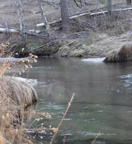 پانسیون Quiet Artist Suite