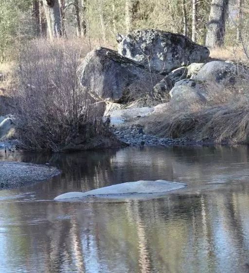 پانسیون Quiet Artist Suite