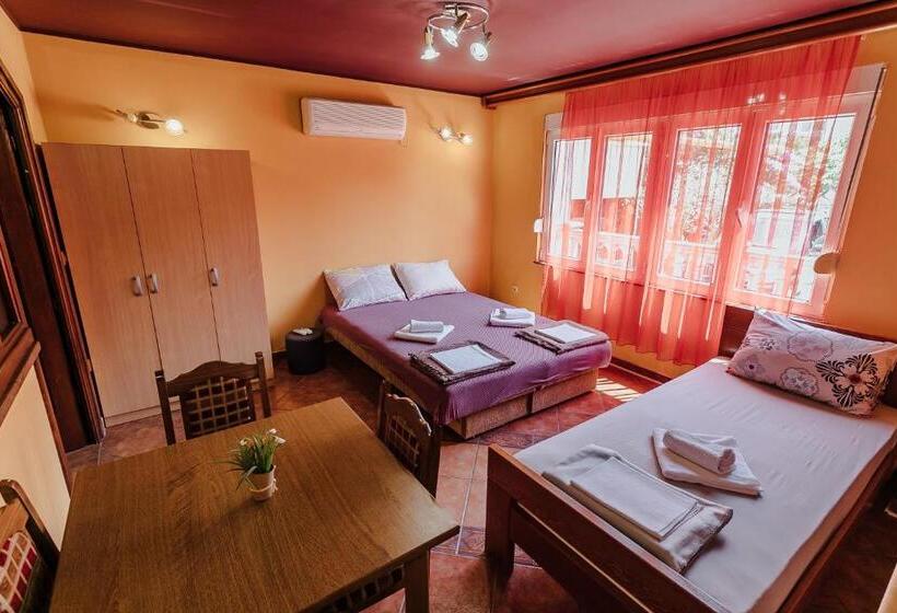 پانسیون Guest House Villa živanović