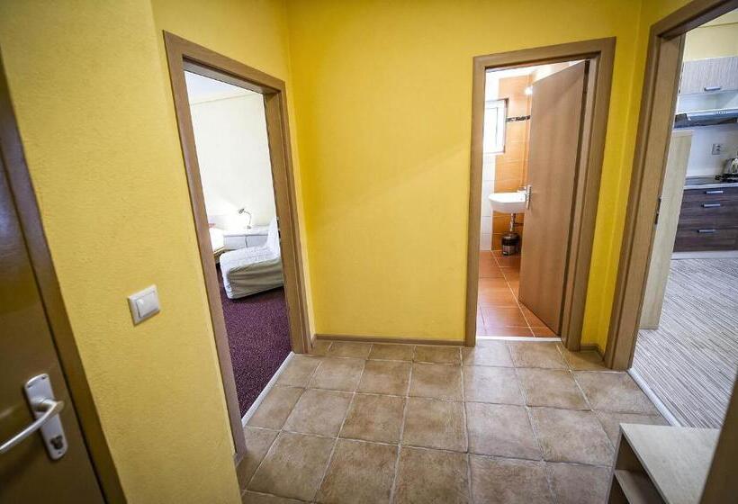 بنسيون Privat Galfy