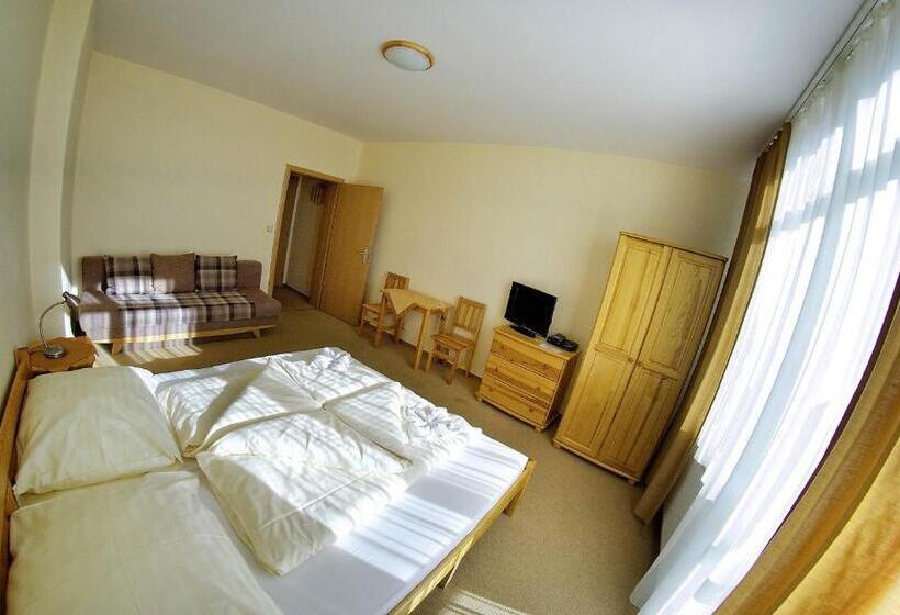 بنسيون Privat Galfy