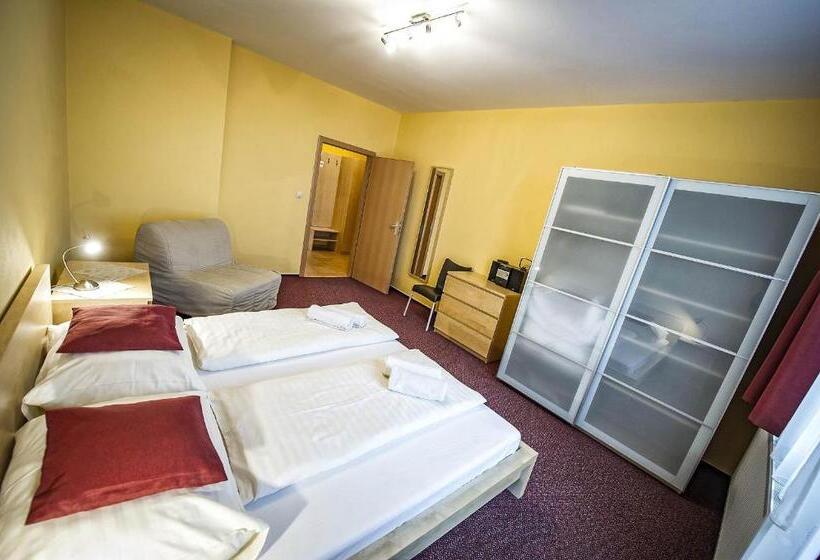 بنسيون Privat Galfy