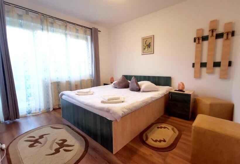 Pensiune Tamara House