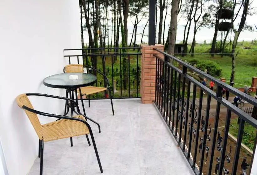 تختخواب و صبحانه Gina Shekvetili