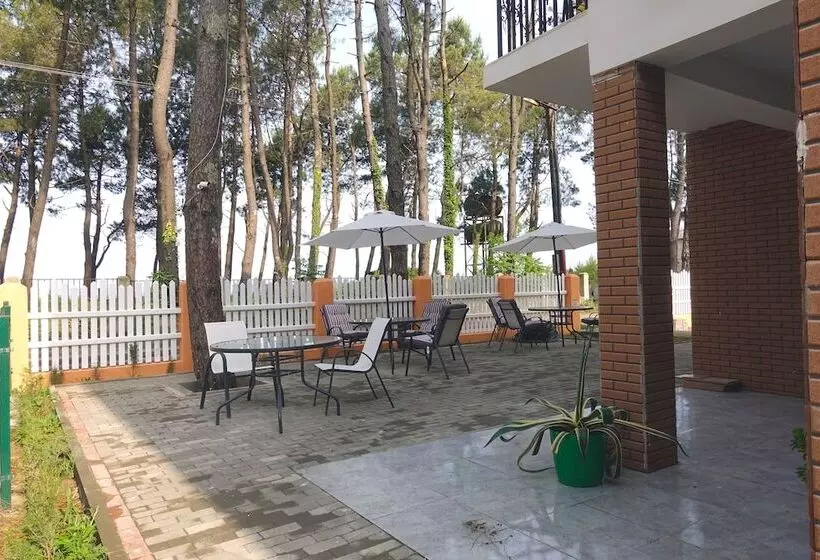 تختخواب و صبحانه Gina Shekvetili