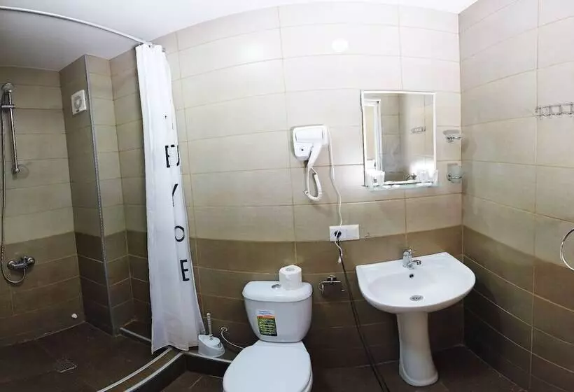 تختخواب و صبحانه Gina Shekvetili