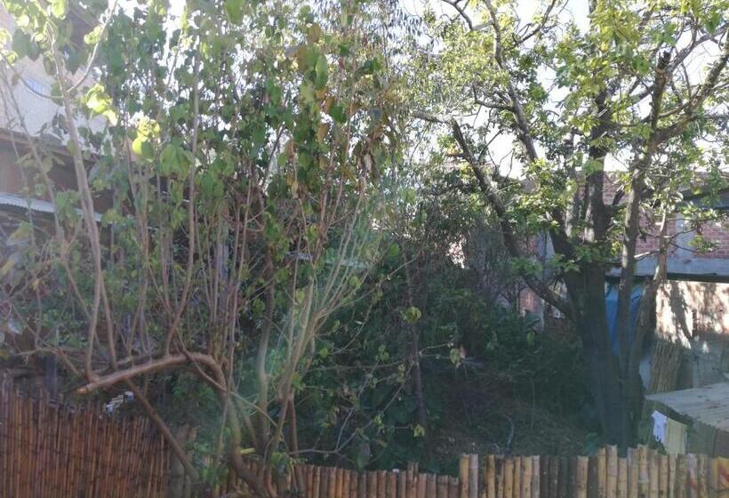 فندق صغير Aventura Chachapoyas Backpackers