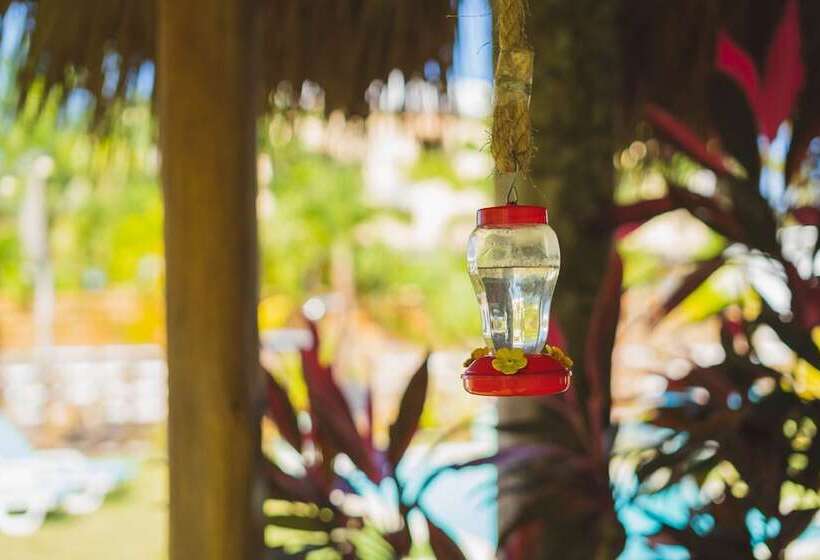 هتل Punta Popy Boutique