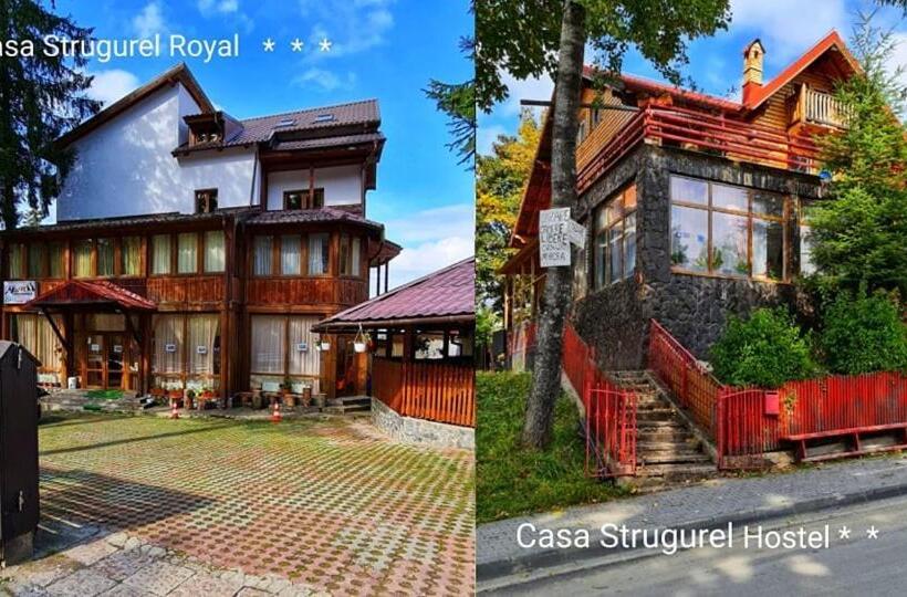 ペンション Vila Strugurel