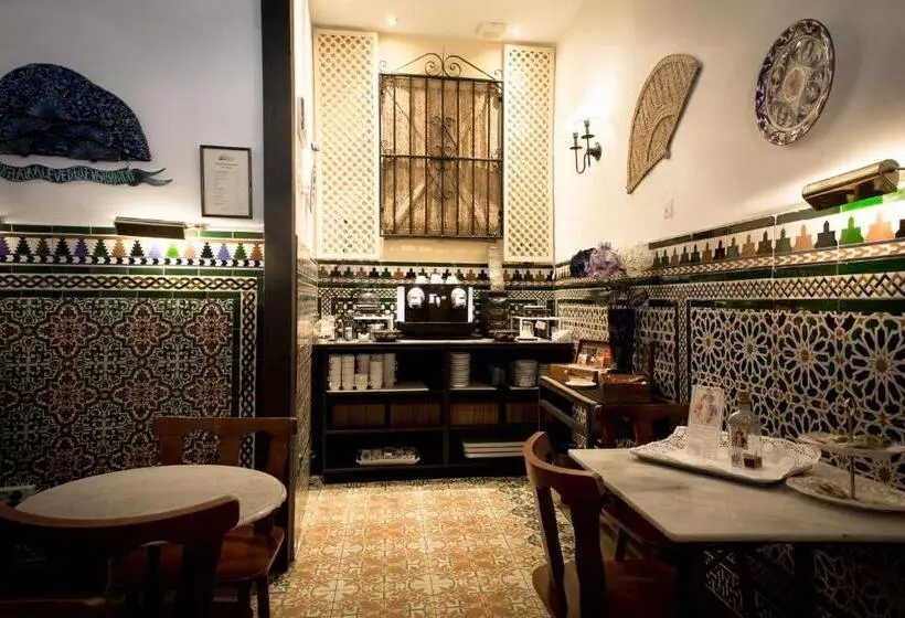 هتل Abanico Casa Palacio